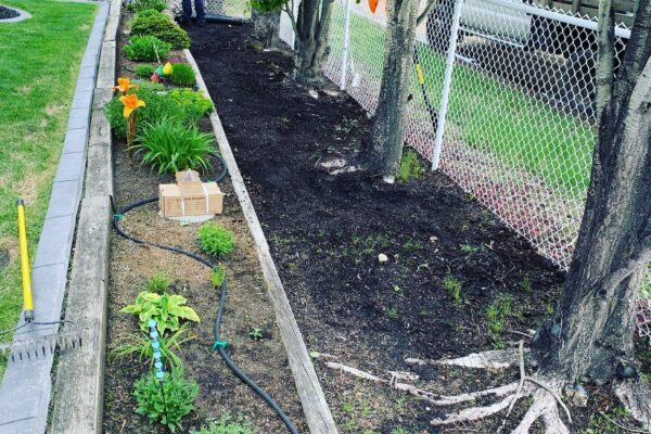landscaping-before
