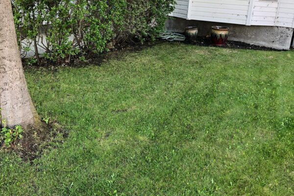 lawn-after