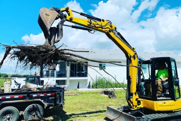 stump-removal